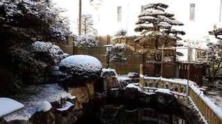 2016-1-25 庭.jpg